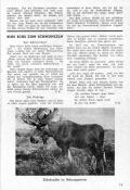 Klicken Sie auf das Bild, um es zu vergrößern